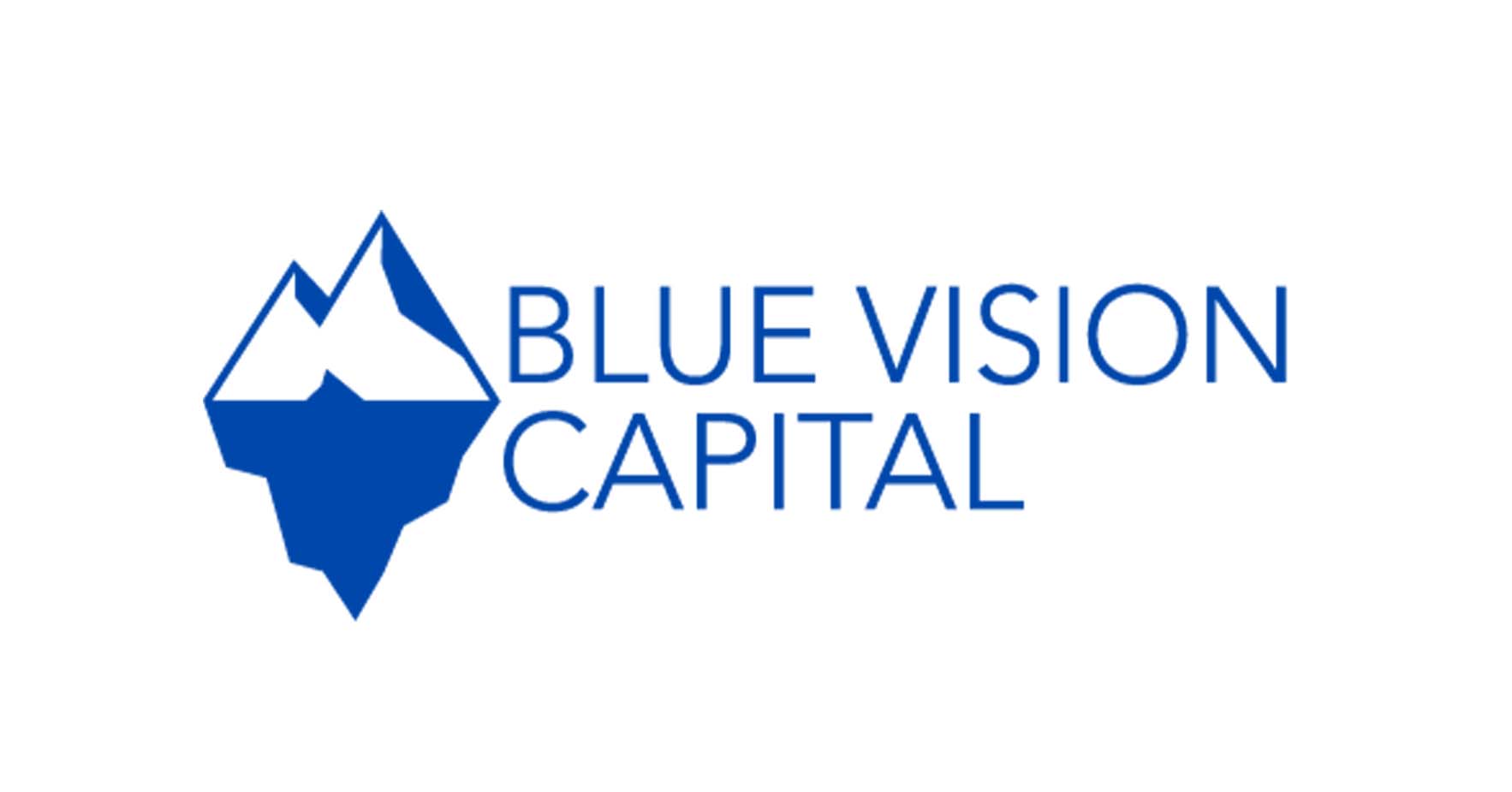 Blue Vision Capital venture capital firm logo